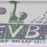 Firminy VB